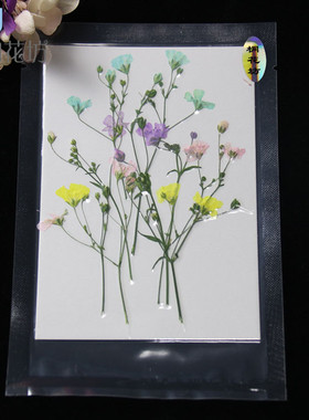 霞草花 押花压花真花DIY植物标本香薰蜡烛手机壳书签手工桐花坊