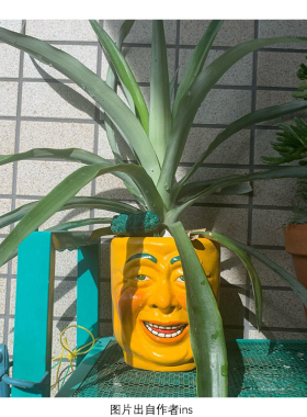 日本shinobu表情花坛多肉植物花盆雕像景观园林装饰人脸摆件 大号