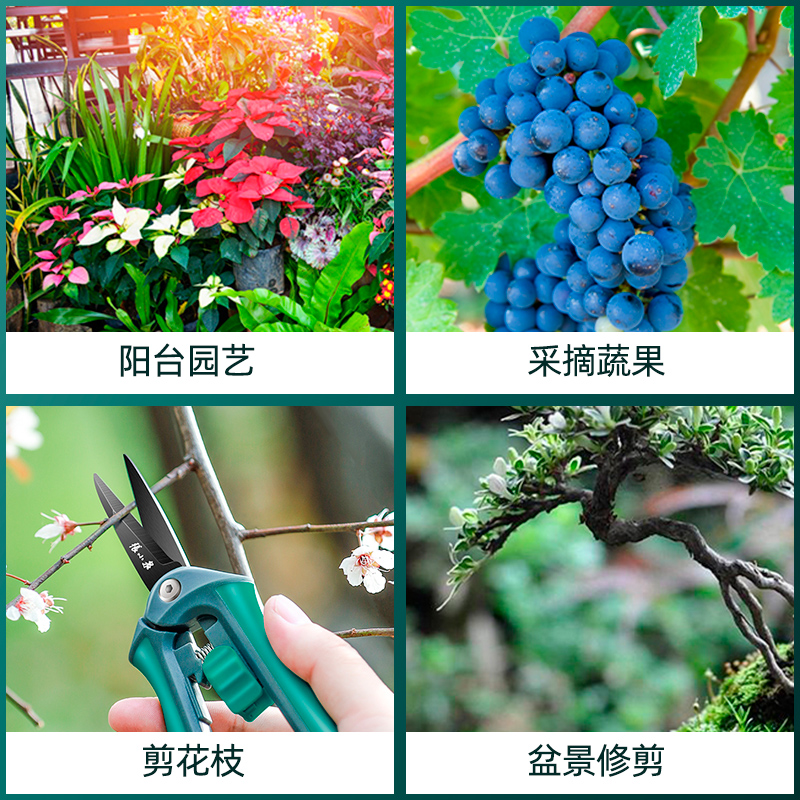 张小泉园艺剪枝剪刀修枝剪果树园林花艺剪子工具修剪树枝剪刀花剪-图1