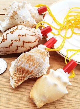 天然海螺号角吹喇叭口哨超大