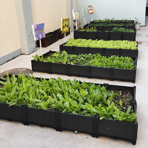 阳台蔬菜种植箱 种菜盆室内 特大立体组合长条花盆 塑料加深阳台 - 图2