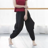 Бархатные современные классические этнические штаны, оверсайз, этнический стиль