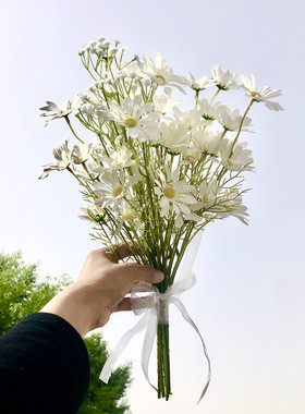 花束ins风拍照荷兰菊摄影道具
