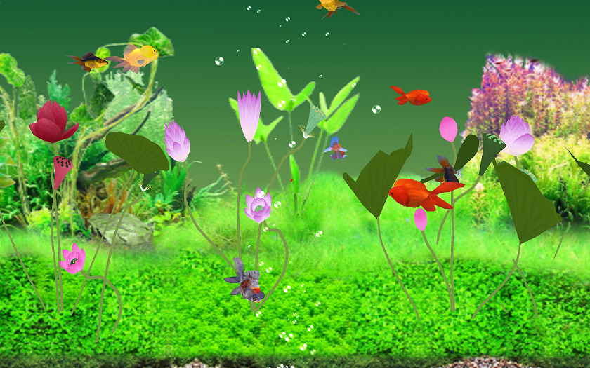 金鱼壁纸 新人首单立减十元 21年7月 淘宝海外