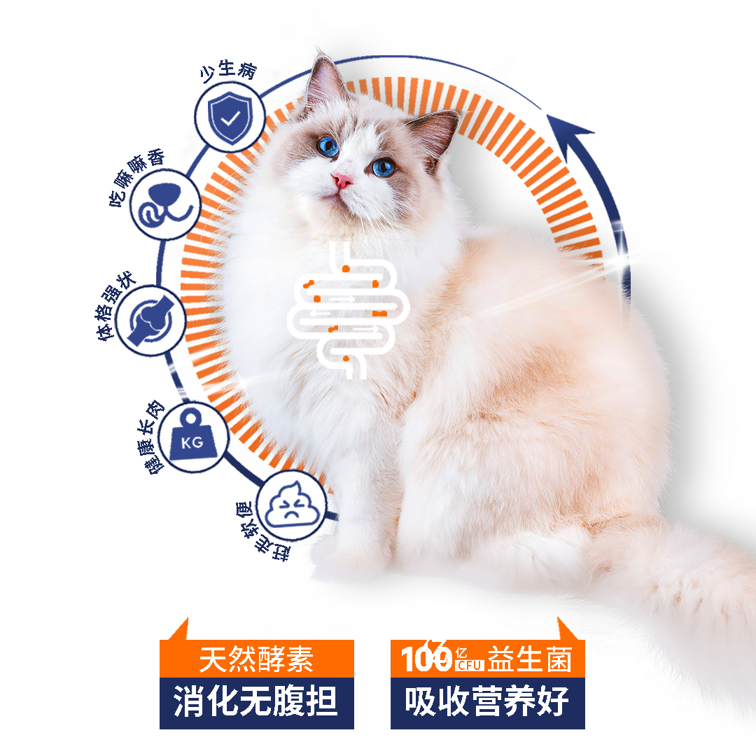 纯皓营乐多成猫幼猫粮鸡肉配方天然酵素全价全猫期通用型粮1.5kg