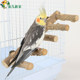 Parrot natural pepper wood ladder cloud ladder tiger peony peony Xuanfeng climbing ladder products bird toy products