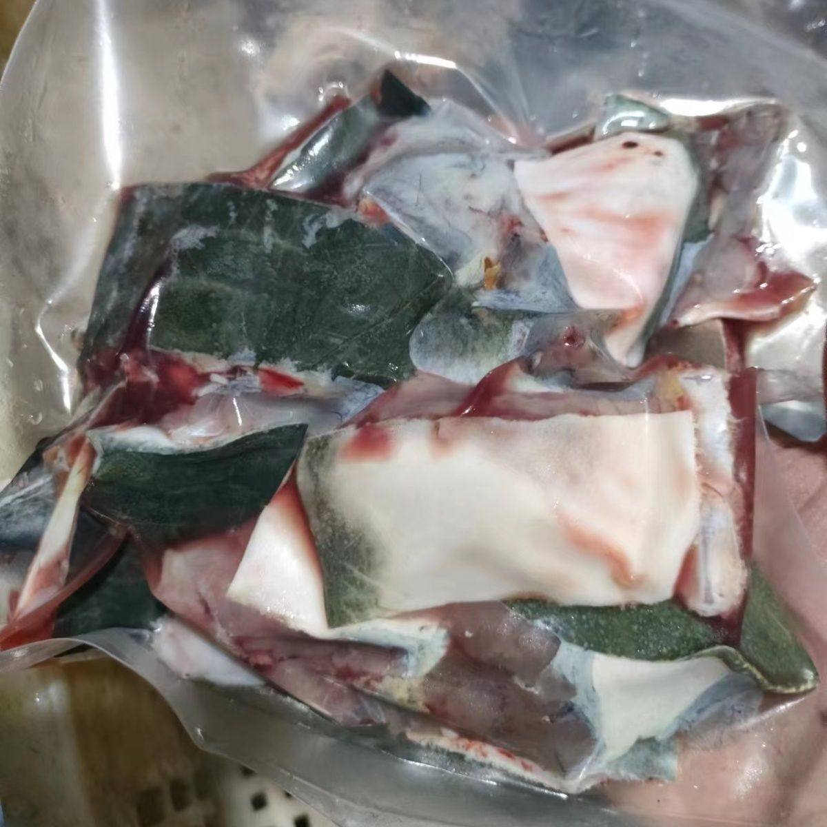 ［微山湖外塘甲鱼］生态老鳖中华鳖团鱼水鱼王八外塘外塘野养食用,淘宝优惠券,粉丝福利购,淘宝优惠卷