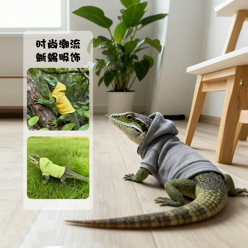 蜥蜴衣服鬃狮蜥连帽衫守宫爬宠外出变装小鳄鱼蓝舌连体小帽子卫衣 - 图0