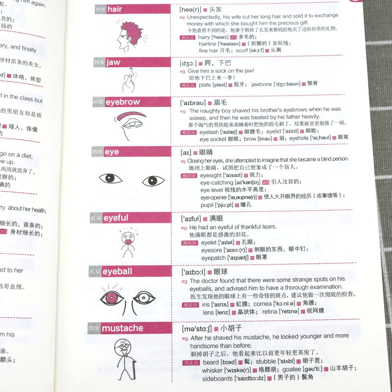 正版厚598页一辈子够用的英语万用单词20000扫码有声快速记忆法大全零基础学常用英文词汇速记小初高中成人入门自学分类随身背书-图1