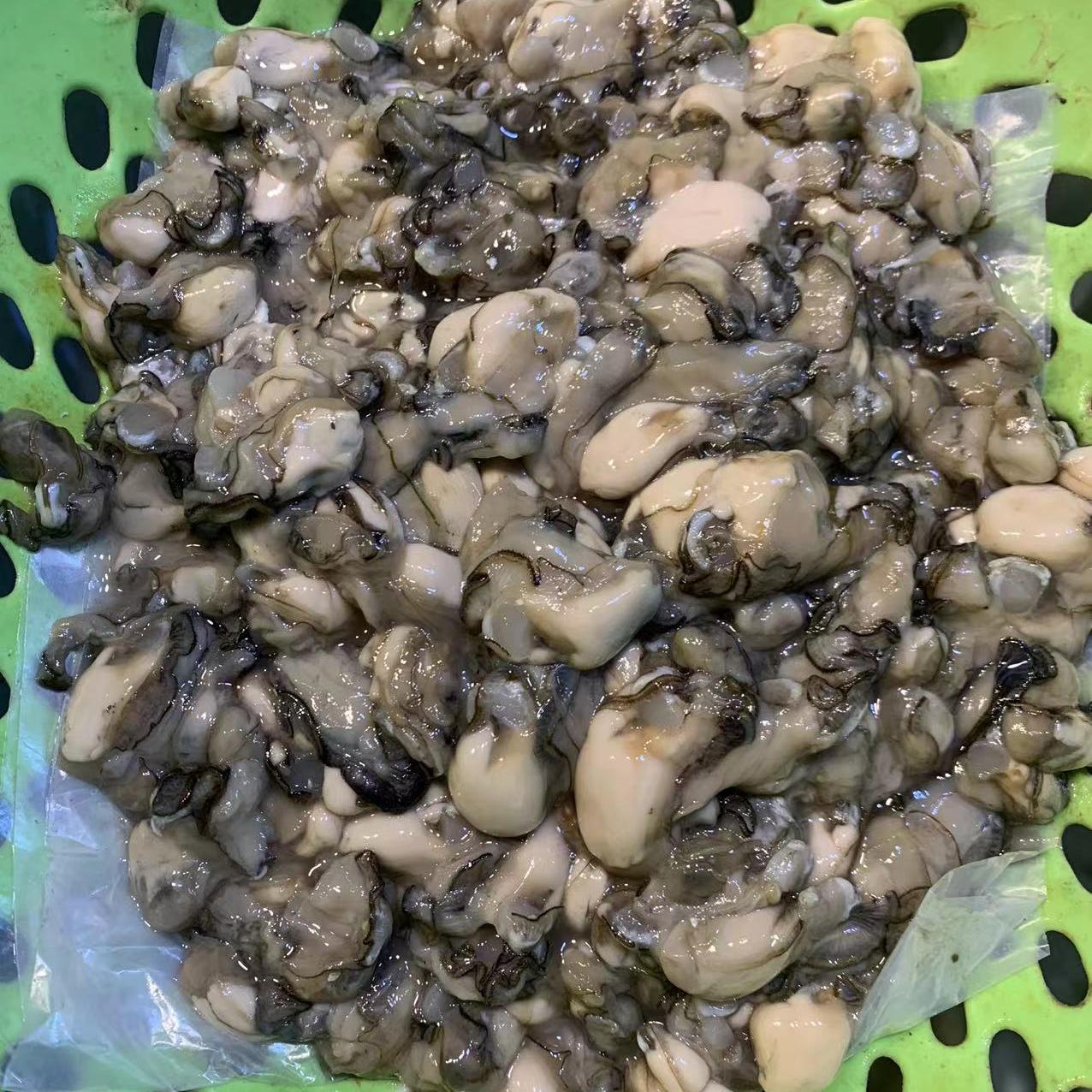 5斤海蛎肉海鲜厦门小海蛎当天现挖小生蚝急冻牡蛎肉蚵仔煎蚝包邮