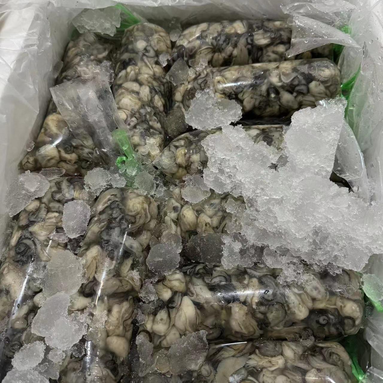 5斤海蛎肉海鲜厦门小海蛎当天现挖小生蚝急冻牡蛎肉蚵仔煎蚝包邮