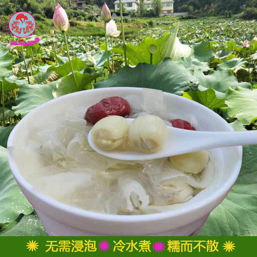 福建正宗建宁莲子农家自产去无芯白莲子特干级莲子干货450g包邮 - 图1