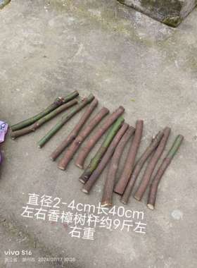 直径2-4cm长度40左右   香樟树杆  香樟树枝  10块钱1根