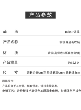 气质百搭镶钻秋冬毛衣链