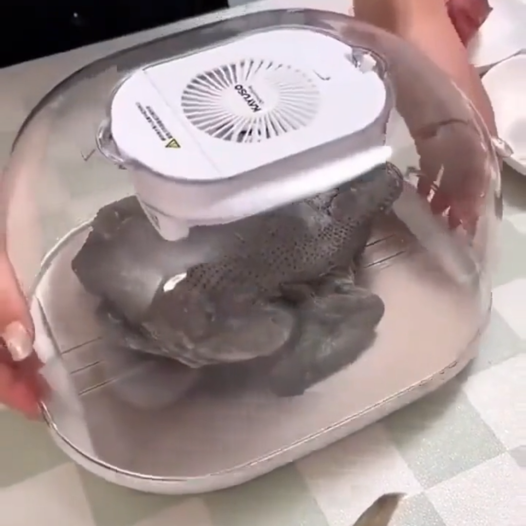 大号解冻器商用新款厨房家用快速肉类牛排食物保鲜化冰解冻盘,淘宝优惠券,粉丝福利购,淘宝优惠卷