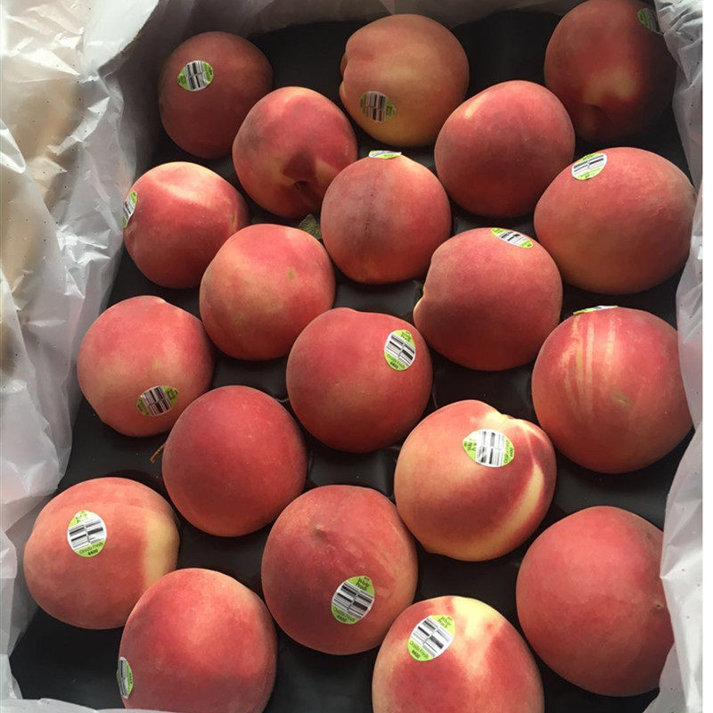 现货空运澳洲进口水蜜桃毛桃新鲜水果桃子公主桃时令新鲜水果桃子,淘宝优惠券,粉丝福利购,淘宝优惠卷