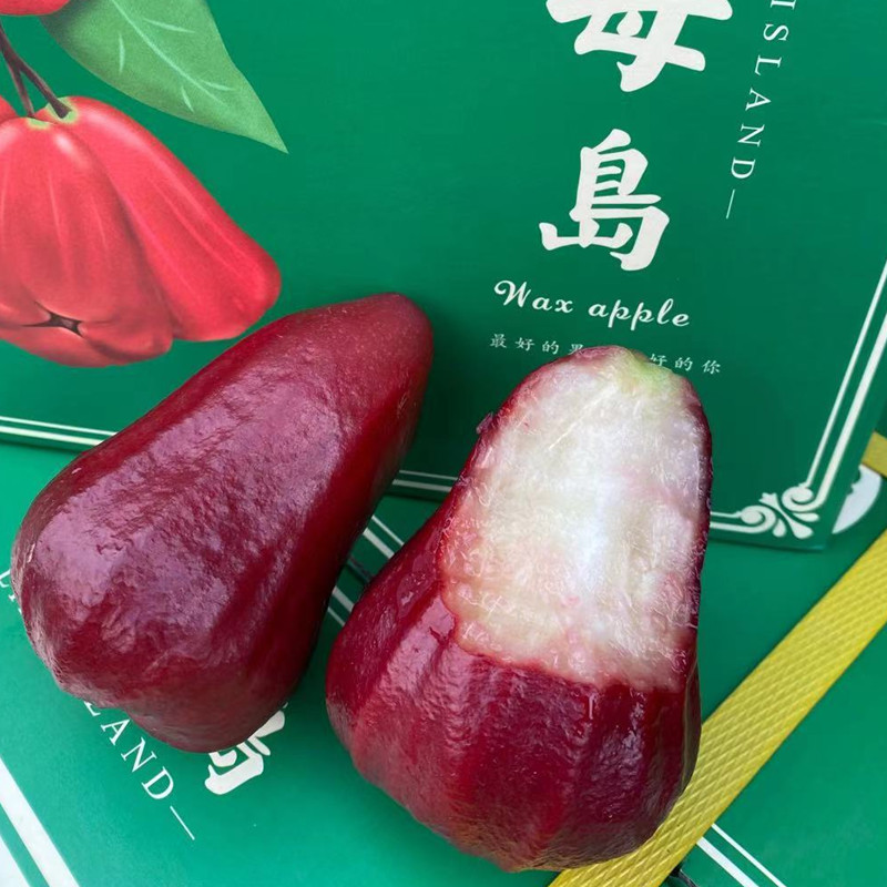 现货精品蜜风铃莲雾3斤整箱时令新鲜水果巴掌黑糖芭比黑顺丰空运 - 图1