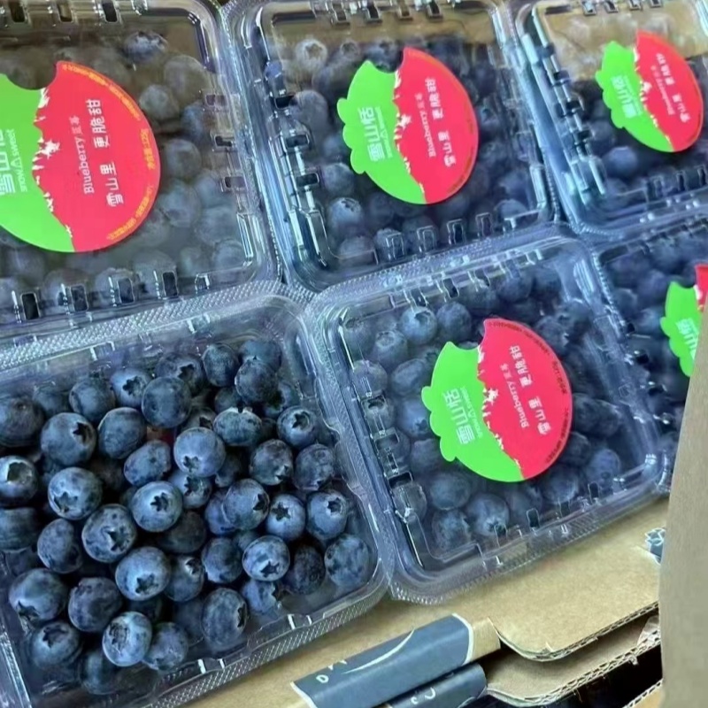云南玉龙雪山稼沃雪山恬蓝莓当季新鲜脆甜蓝莓鲜果125g/盒顺丰
