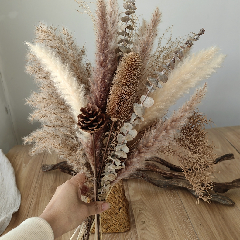 文艺复古天然芦苇干花束套装民宿服装店橱窗装饰家居桌面真花摆件,淘宝优惠券,粉丝福利购,淘宝优惠卷