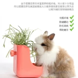 Jessi Timori Grass Grass, кроличья травяная графитная трава трава вместо травы голландской свиньи Totoro Trety 500g