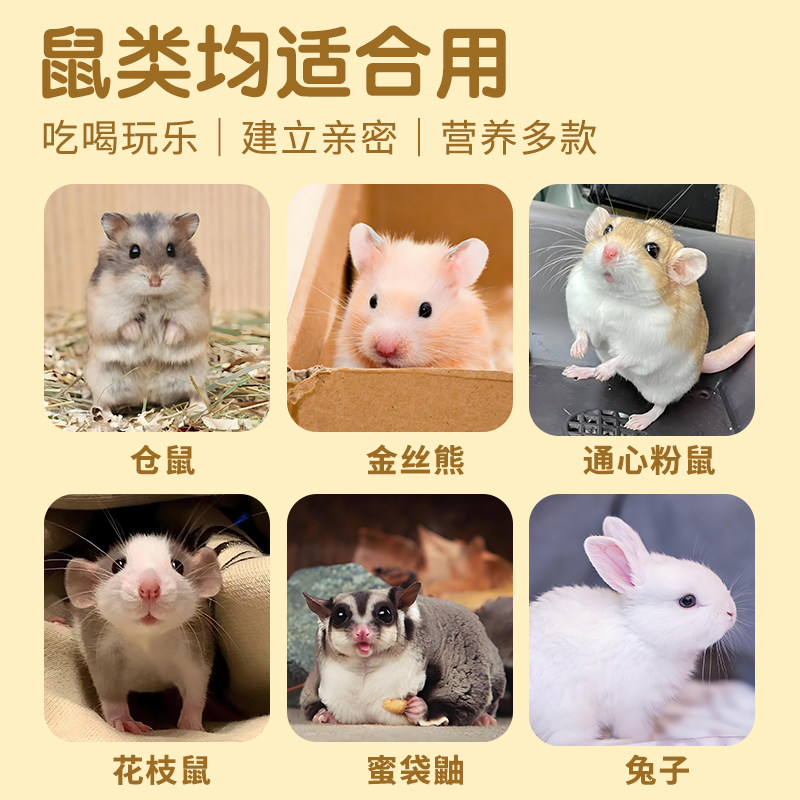 养小仓鼠的生活用品大全套装齐全金丝熊粮食木屑浴沙冬夏造景垫料,淘宝优惠券,粉丝福利购,淘宝优惠卷