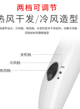 博莱雅负离子蓝光家用冷热风