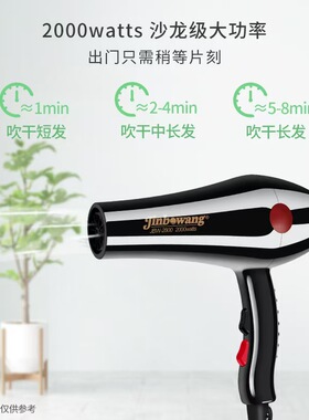 2000W负离子吹风机专用大功率