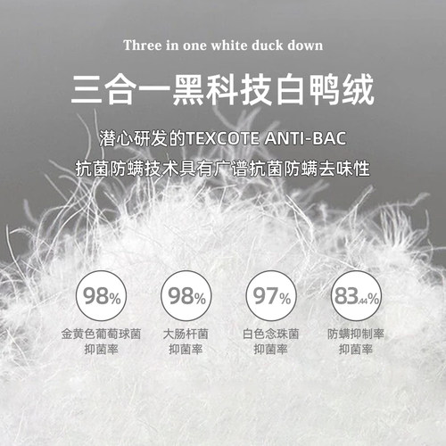 NMAX大码男装潮牌冬新品轻薄羽绒服三合一摇粒绒宽松痞帅外套 - 图2