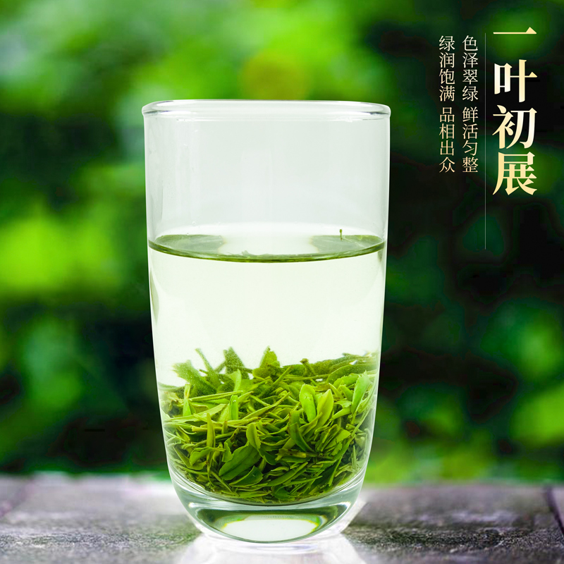 毛尖散装一级2023新茶春伍家台贡茶绿针恩施富硒茶叶明前嫩芽250g