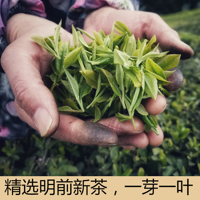 毛尖散装一级2022新茶春伍家台贡茶绿针恩施富硒茶叶明前嫩芽250g