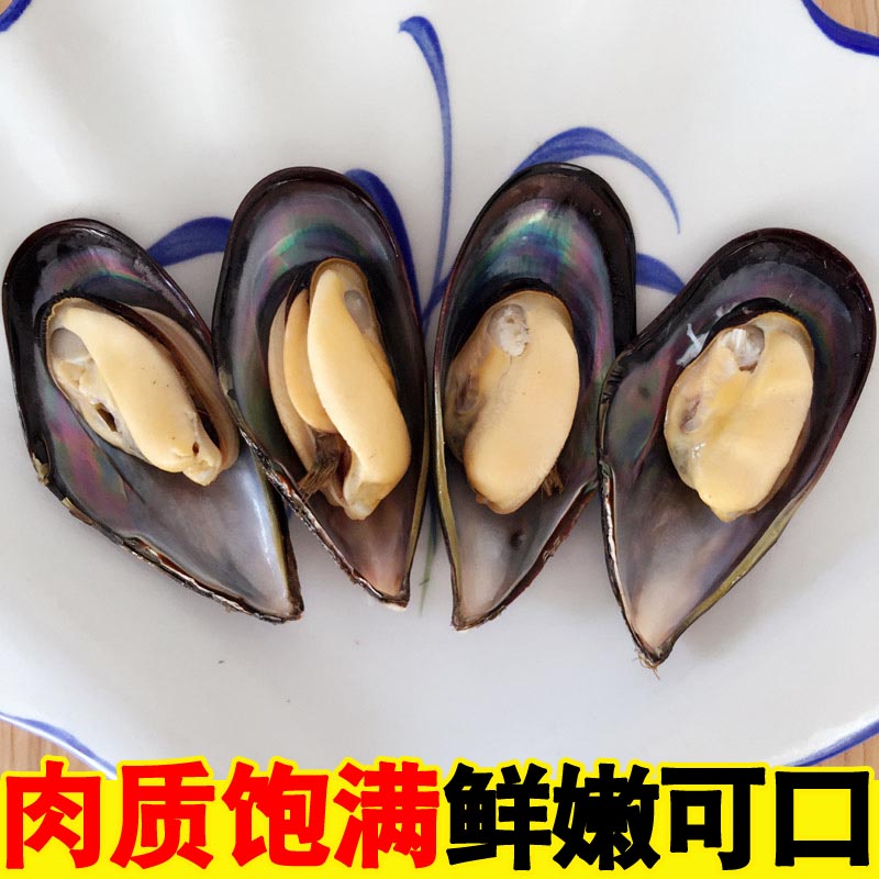 海鲜水产鲜活青口贝新鲜大海虹野生淡菜贻贝大青口贝海鲜贝类烧烤-图1