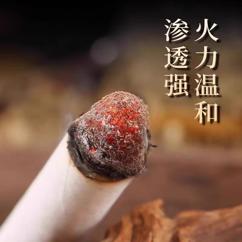 白云山星群陈年艾条艾草熏香长艾条艾灸艾绒药房直售祛湿驱寒mz - 图2
