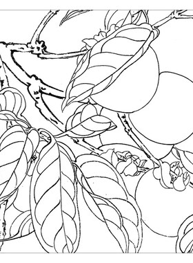 清香久远白描底稿方便临摹