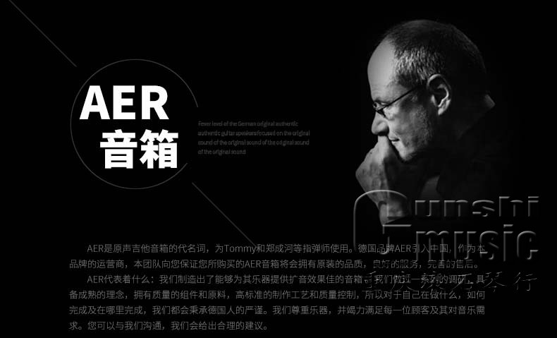 重庆 德国AER Compact 60标准款 民谣木吉他60瓦充电弹唱户外音箱 - 图2