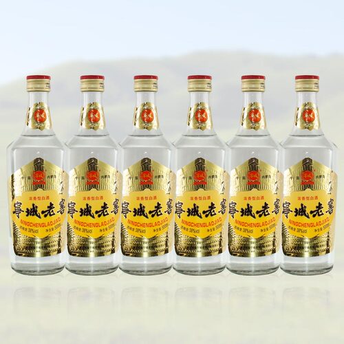 宁城老窖38度500ml*12瓶白酒整箱浓香型老酒原浆玻璃瓶普老窖 - 图0
