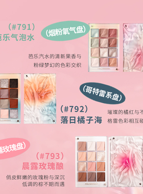 水波纹蓝色干枯玫瑰12色眼影盘