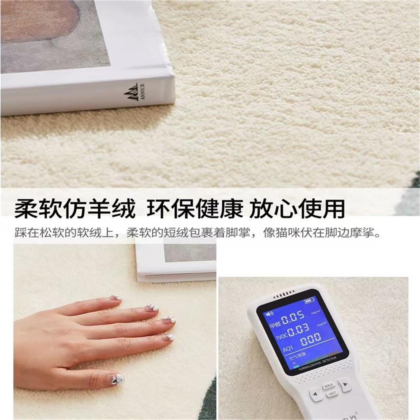 Small fresh living room carpet