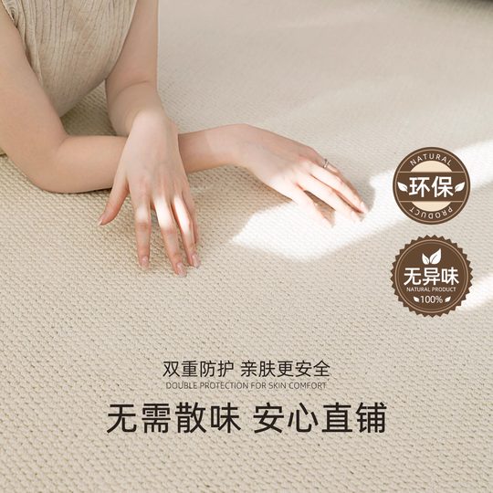仿剑麻地毯客厅2025新款卧室床边毯沙发地垫法式奶油风白色可机洗