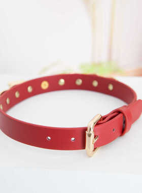 项圈定制女m手工皮具外出k9真皮定制刻字吊牌金属