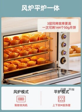 柏翠pe6080私房商用陶瓷釉双风炉