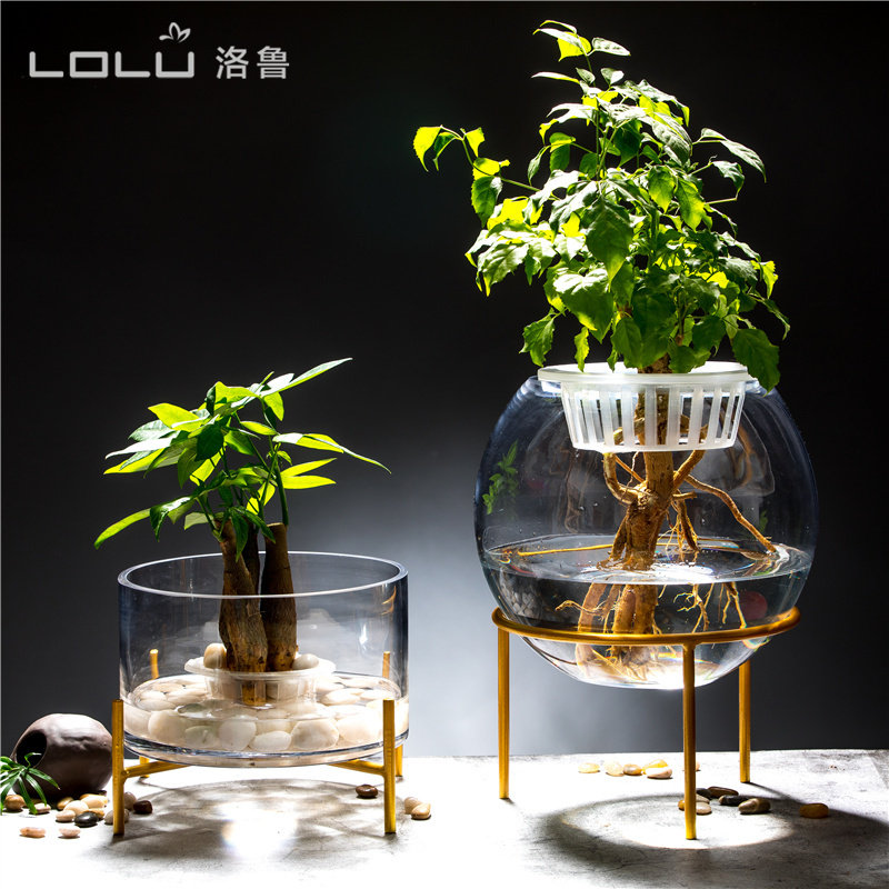 水培植物玻璃花瓶圆形玻璃鱼缸富贵竹绿萝简约水培花盆创意鱼缸,淘宝优惠券,粉丝福利购,淘宝优惠卷