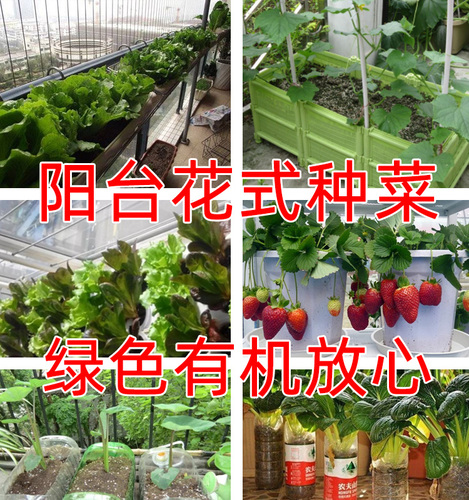 育苗基质50升有机营养土泥炭椰糠花土扦插种植蔬菜种菜种花育苗土