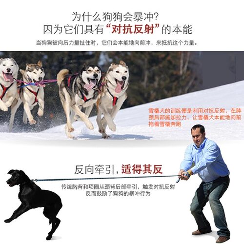 美国PetSafe easywalk 宠物狗防爆冲胸背带 训练胸背 牵引绳项圈 - 图2