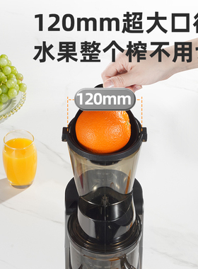 金正大口径汁渣分离全自动原汁机