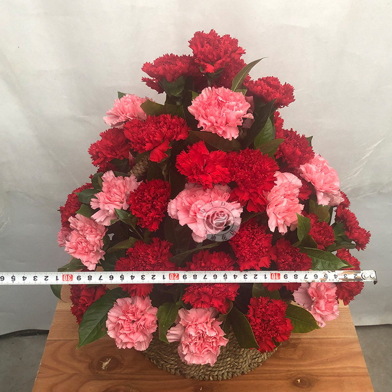 三八节康乃馨小花篮送长辈妈妈生日感谢老师礼物北京同城鲜花速递