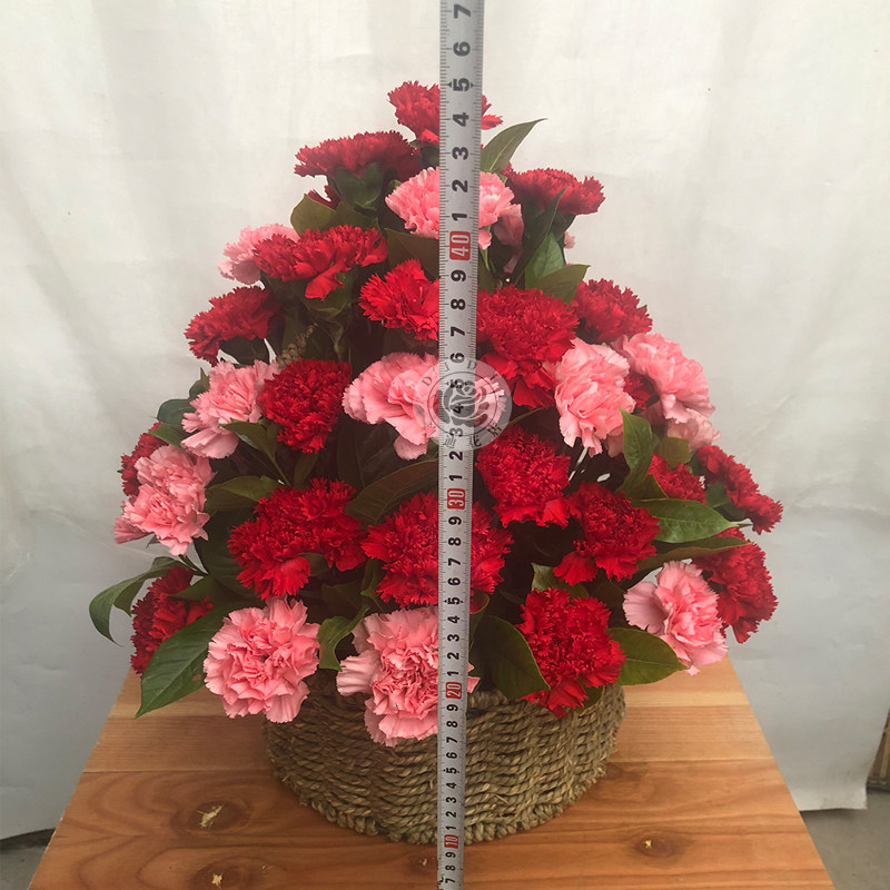 三八节康乃馨小花篮送长辈妈妈生日感谢老师礼物北京同城鲜花速递