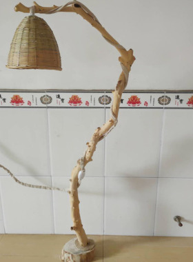 干树枝摆件树干装饰小木棍客厅造景树枝宠物造型树杈衣架道具枯i.