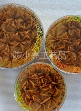 圆盒装扎花虫草模型摆件冬虫夏草橱柜陈列店铺软装道具拍摄工艺品