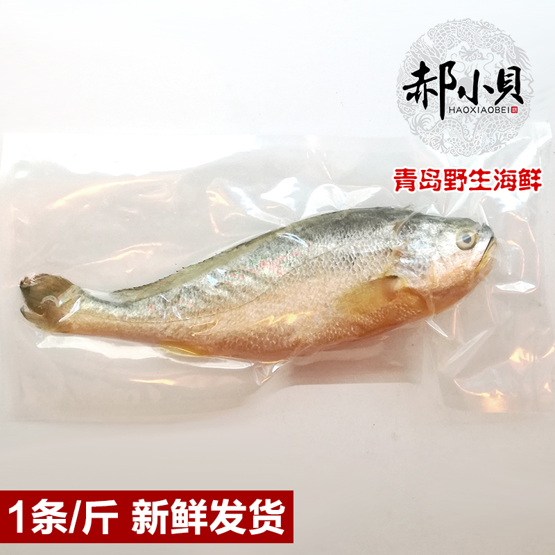 青岛海鲜深海鱼新鲜黄鱼冰鲜黄花鱼蒜瓣肉冷冻水产大黄鱼送礼500g-图2