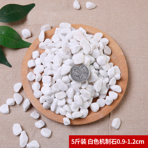 鹅卵石天然雨花石小白石子多肉铺面石盆栽花盆鱼缸庭院白色石头 - 图2